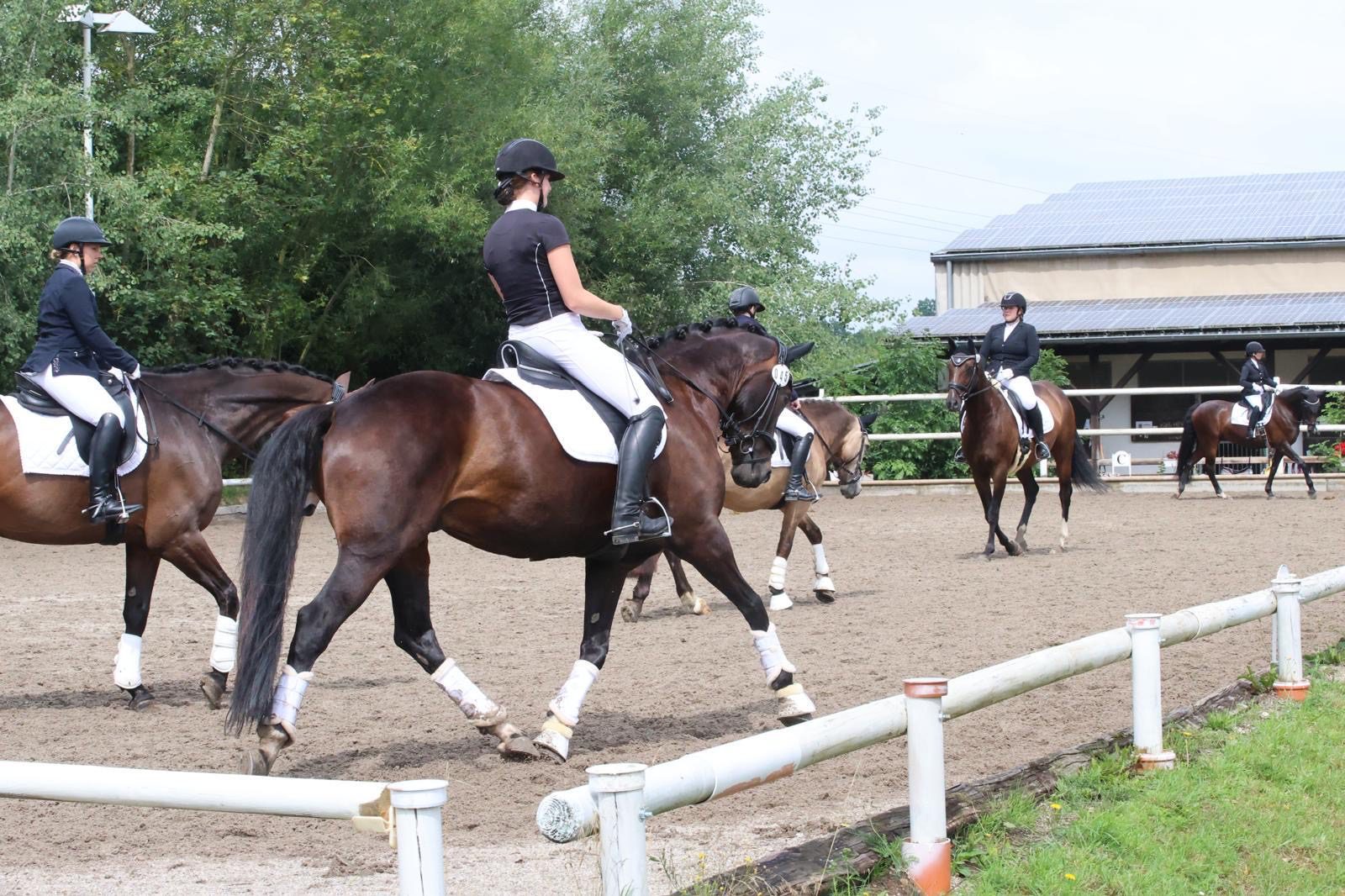 Dressurreiterinnen auf dem Außenplatz des Reitclub Fischbach