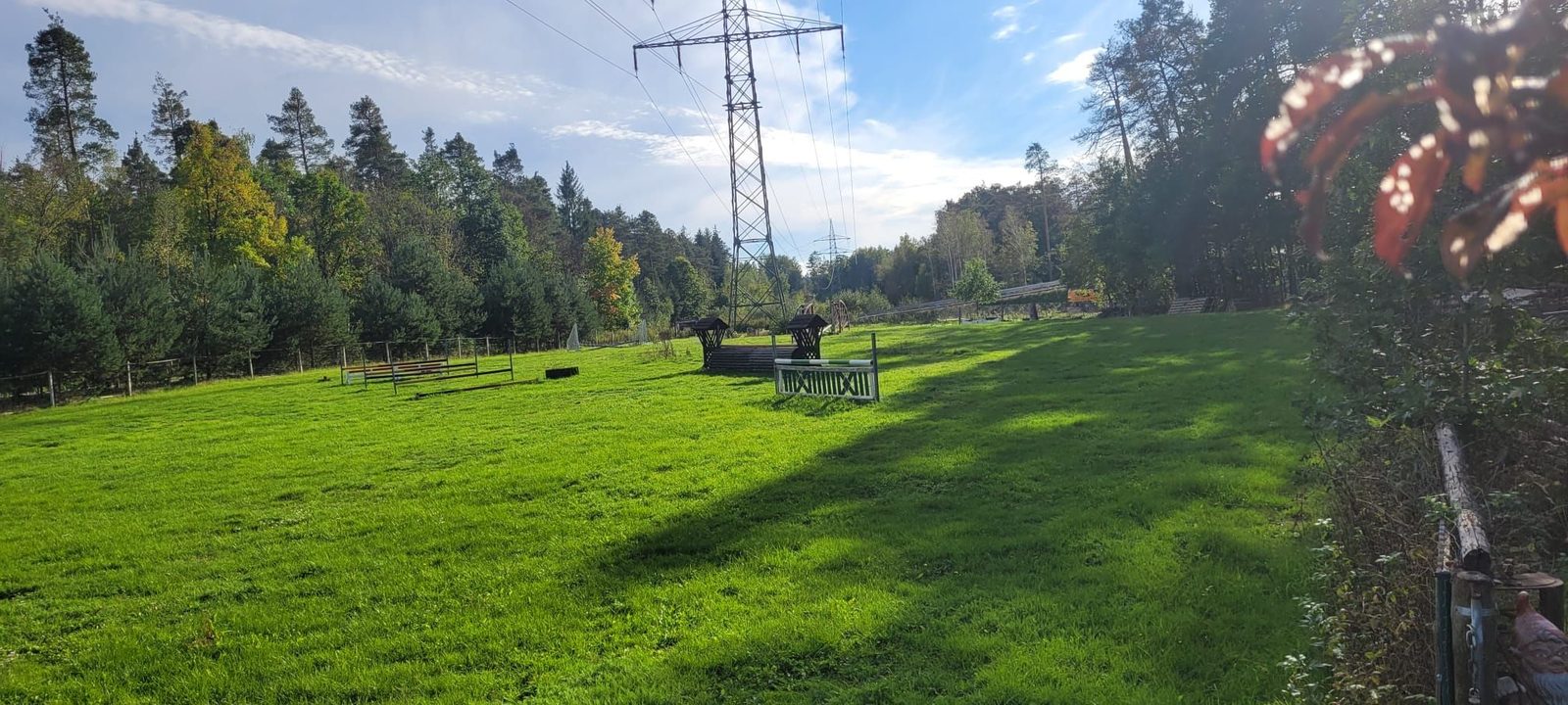 Grüner Grasspringplatz mit Naturhindernissen am Waldrand