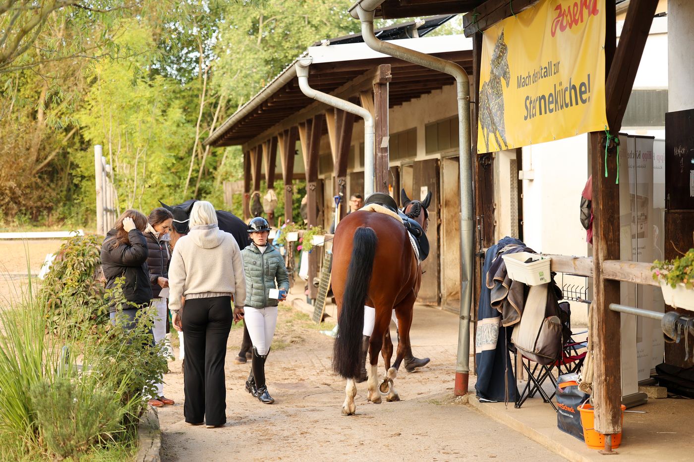 Betrieb in der Stallgasse: Pferde werden zum Abreiteplatz geführt