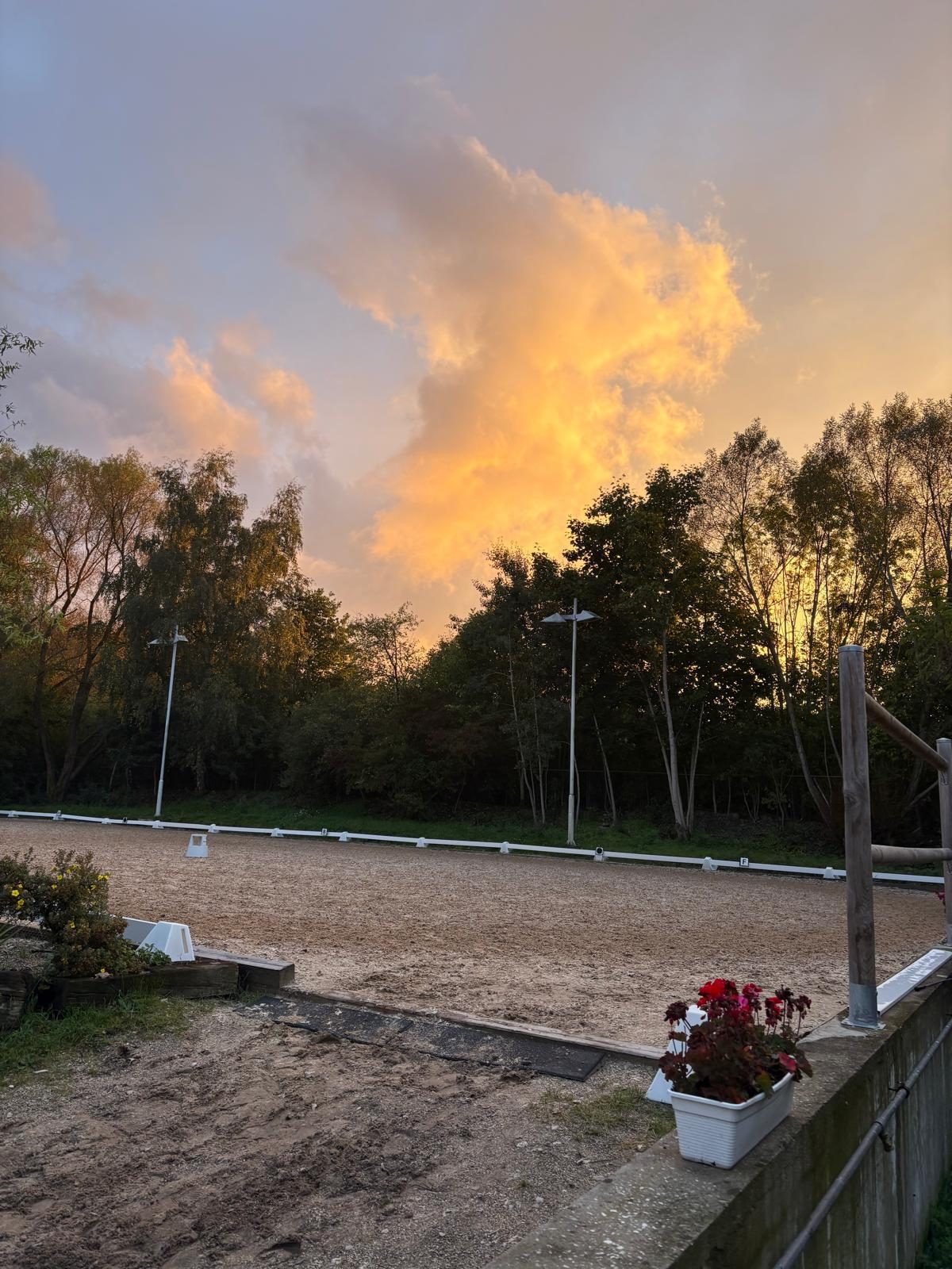 Neues Dressurviereck im Abendrot