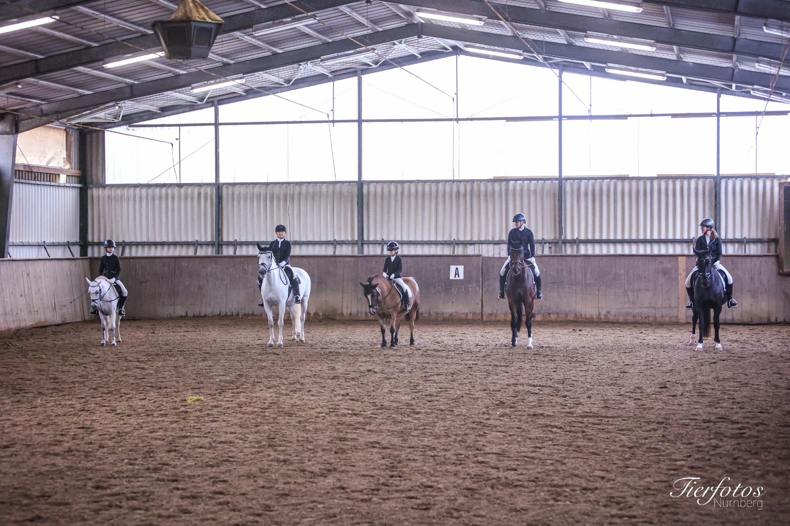 Reithalle des Reitclub Fischbach mit fünf Reiterinnen in der Abteilung