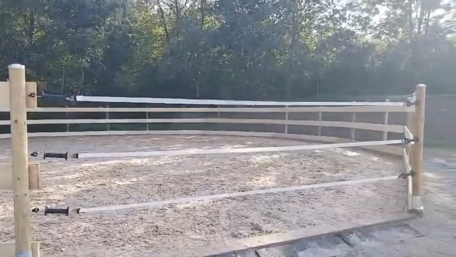 Neuer Roundpen mit heller Holzumzäunung am Waldrand