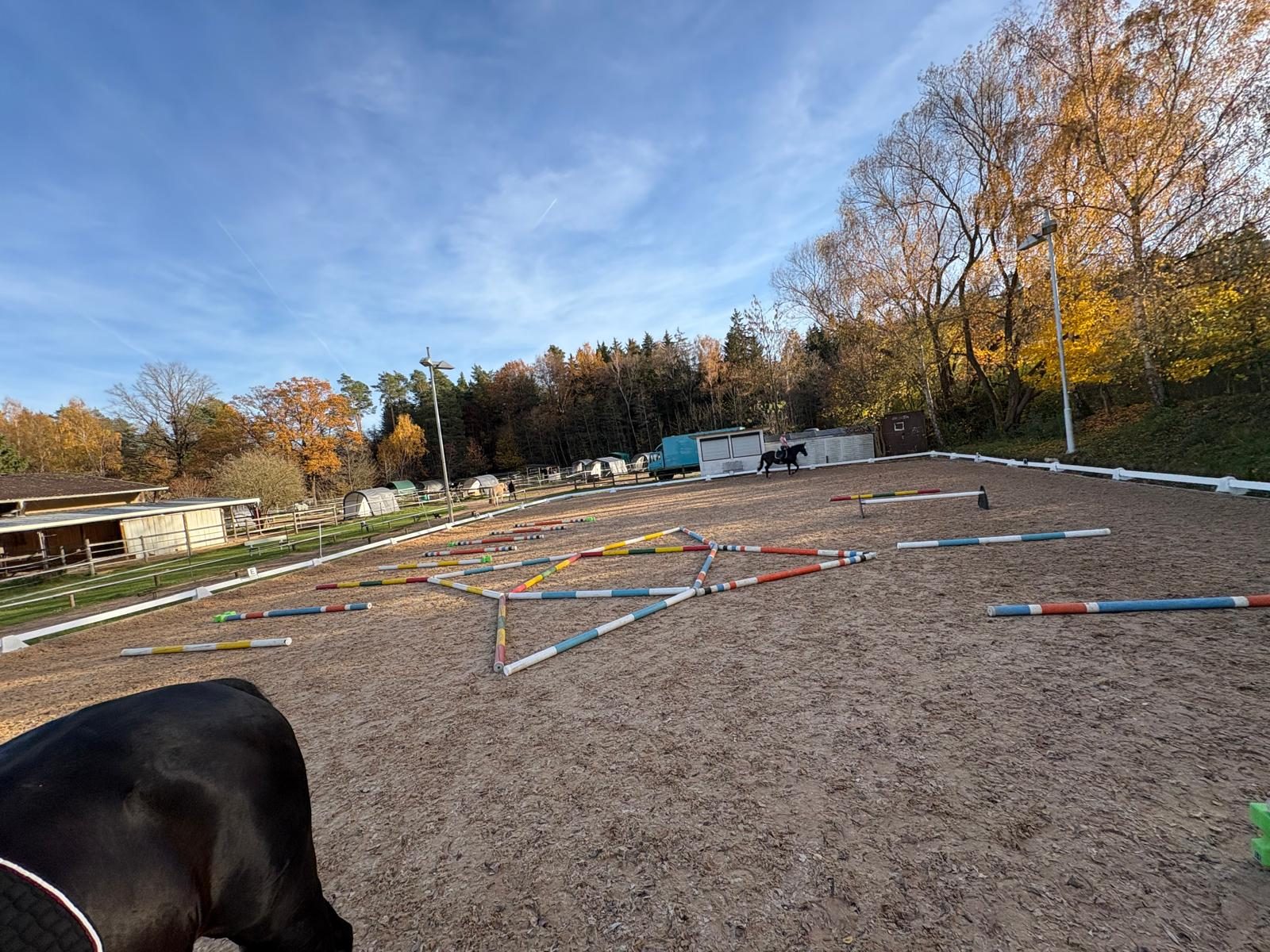 Stangentraining auf dem sanierten Platz