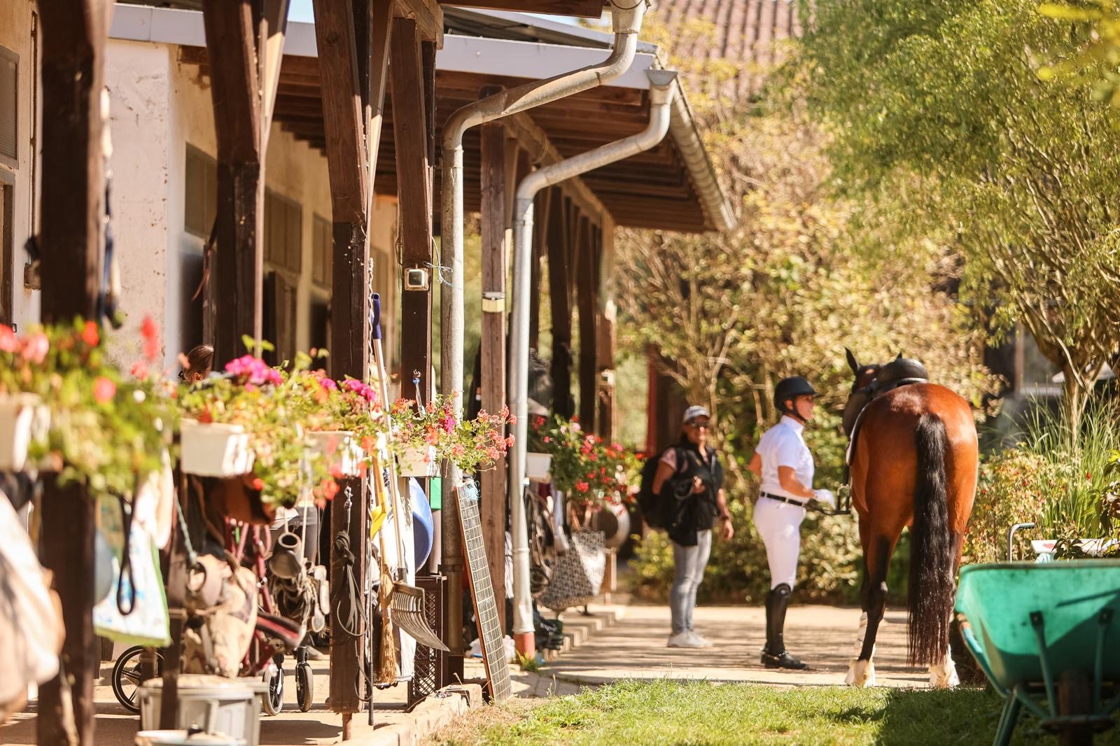 Blumengesäumte Stallgasse des Reitclub Fischbach mit einem Pferd und Reiterinnen im warmen Sonnenlicht