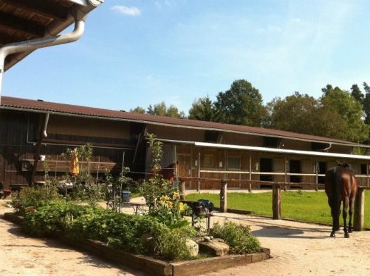 Sonnige Stallzeile des Reitclub Fischbach mit Pferd und Gemüsegarten im Vordergrund